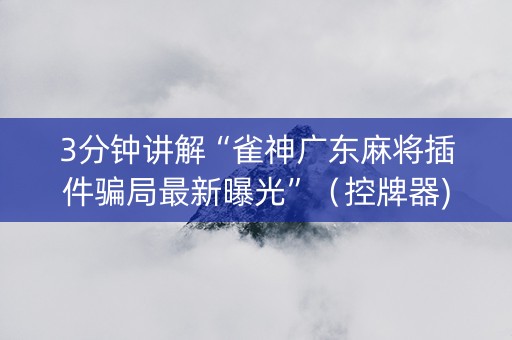 3分钟讲解“雀神广东麻将插件骗局最新曝光”（控牌器)
