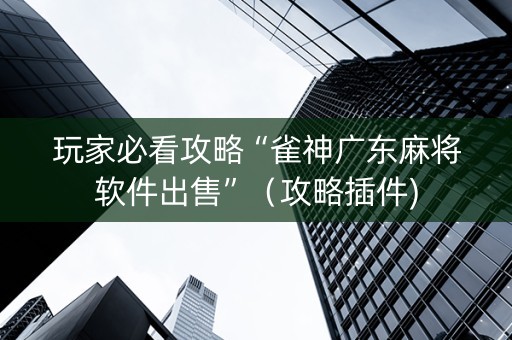 玩家必看攻略“雀神广东麻将软件出售”（攻略插件)