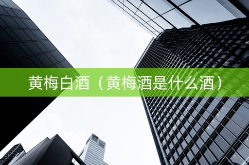 黄梅白酒（黄梅酒是什么酒）