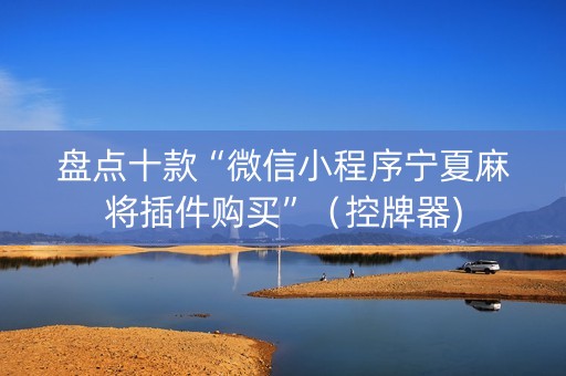 盘点十款“微信小程序宁夏麻将插件购买”（控牌器)