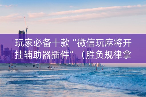 玩家必备十款“微信玩麻将开挂辅助器插件”（胜负规律拿好牌)