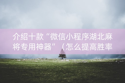 介绍十款“微信小程序湖北麻将专用神器”（怎么提高胜率)