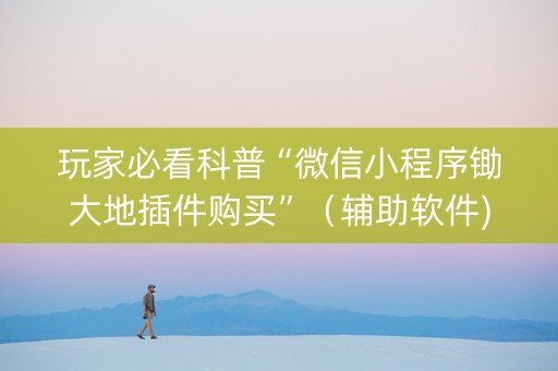 玩家必看科普“微信小程序锄大地插件购买”（辅助软件)