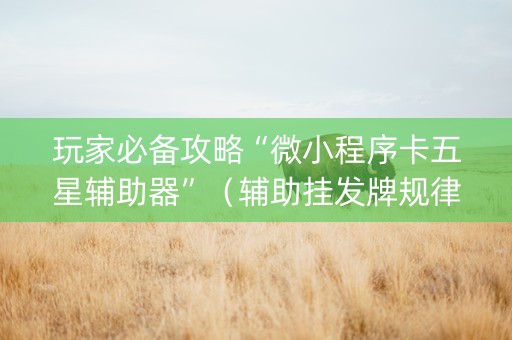 玩家必备攻略“微小程序卡五星辅助器”（辅助挂发牌规律)