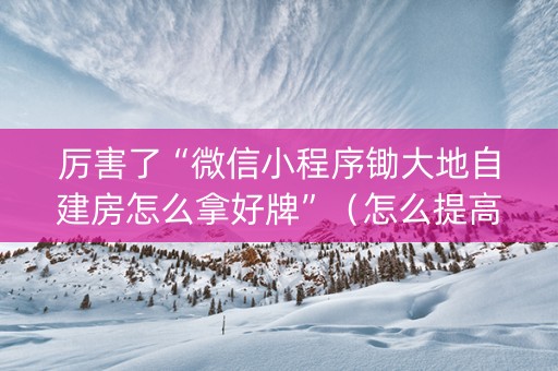厉害了“微信小程序锄大地自建房怎么拿好牌”（怎么提高胜率)