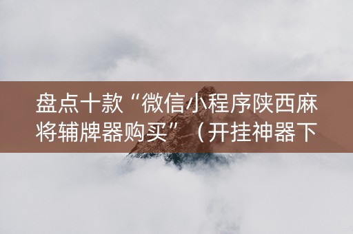 盘点十款“微信小程序陕西麻将辅牌器购买”（开挂神器下载)