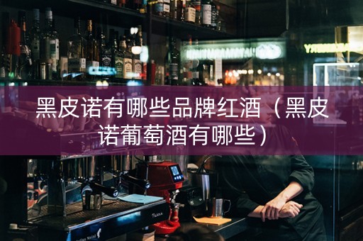 黑皮诺有哪些品牌红酒（黑皮诺葡萄酒有哪些）