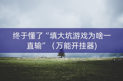 终于懂了“填大坑游戏为啥一直输”（万能开挂器)