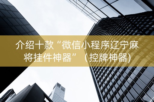 介绍十款“微信小程序辽宁麻将挂件神器”（控牌神器)