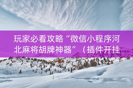 玩家必看攻略“微信小程序河北麻将胡牌神器”（插件开挂免费AI)
