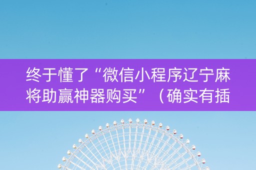 终于懂了“微信小程序辽宁麻将助赢神器购买”（确实有插件吗)