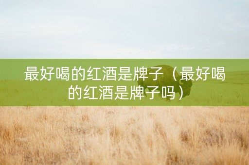 最好喝的红酒是牌子（最好喝的红酒是牌子吗）
