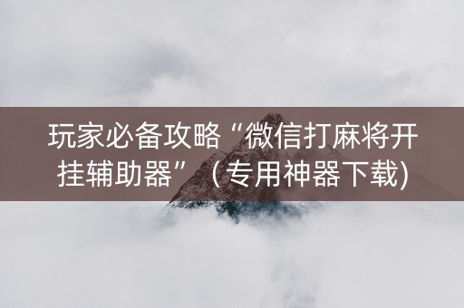 玩家必备攻略“微信打麻将开挂辅助器”（专用神器下载)
