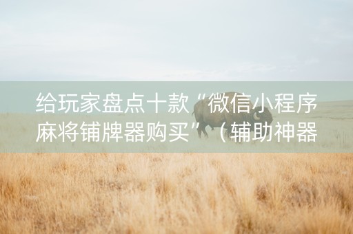 给玩家盘点十款“微信小程序麻将铺牌器购买”（辅助神器免费)