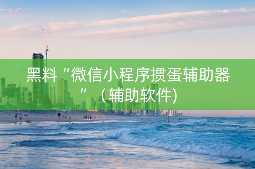 黑料“微信小程序掼蛋辅助器”（辅助软件)