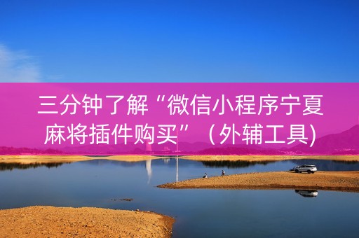 三分钟了解“微信小程序宁夏麻将插件购买”（外辅工具)