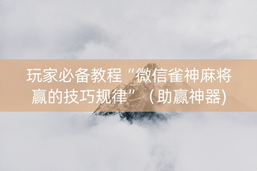 玩家必备教程“微信雀神麻将赢的技巧规律”（助赢神器)