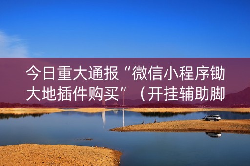 今日重大通报“微信小程序锄大地插件购买”（开挂辅助脚本)