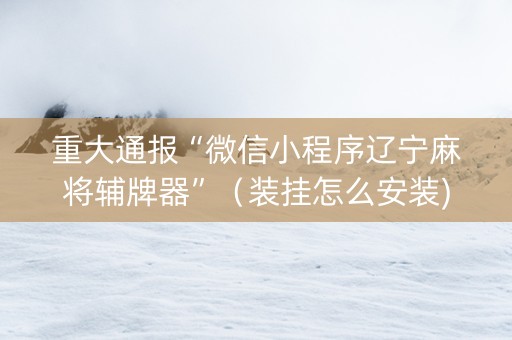 重大通报“微信小程序辽宁麻将辅牌器”（装挂怎么安装)