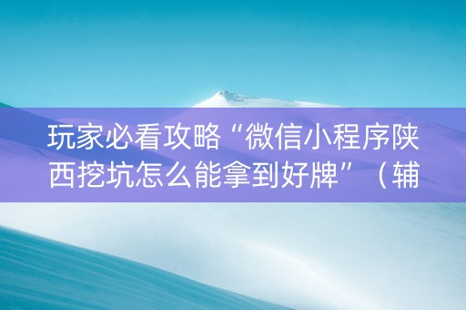 玩家必看攻略“微信小程序陕西挖坑怎么能拿到好牌”（辅牌器插件购买)