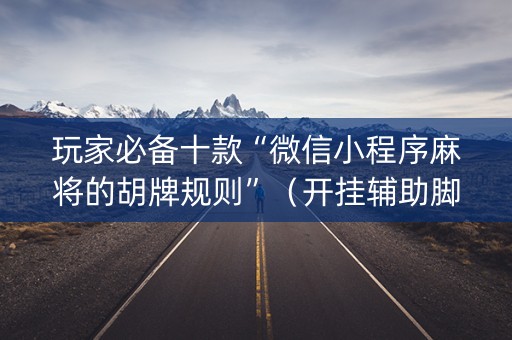 玩家必备十款“微信小程序麻将的胡牌规则”（开挂辅助脚本)