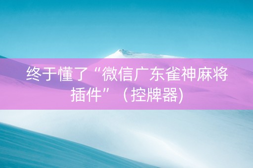 终于懂了“微信广东雀神麻将插件”（控牌器)