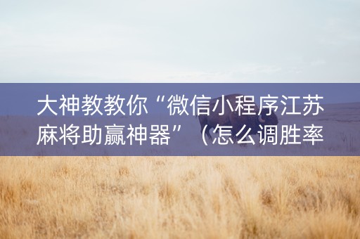 大神教教你“微信小程序江苏麻将助赢神器”（怎么调胜率)