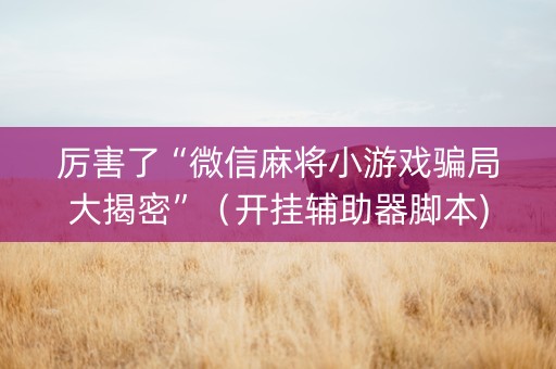 厉害了“微信麻将小游戏骗局大揭密”（开挂辅助器脚本)