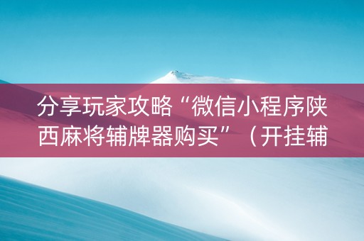 分享玩家攻略“微信小程序陕西麻将辅牌器购买”（开挂辅助器脚本)