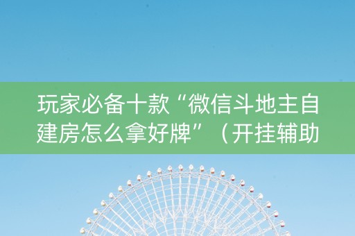 玩家必备十款“微信斗地主自建房怎么拿好牌”（开挂辅助插件)