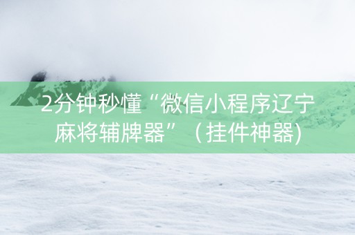2分钟秒懂“微信小程序辽宁麻将辅牌器”（挂件神器)