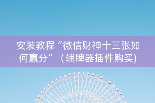 安装教程“微信财神十三张如何赢分”（辅牌器插件购买)