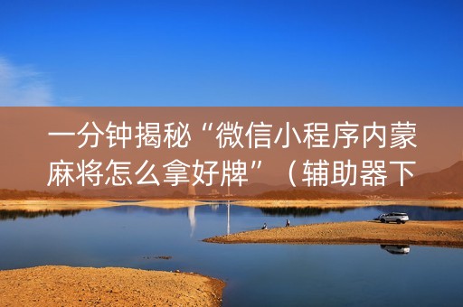 一分钟揭秘“微信小程序内蒙麻将怎么拿好牌”（辅助器下载)