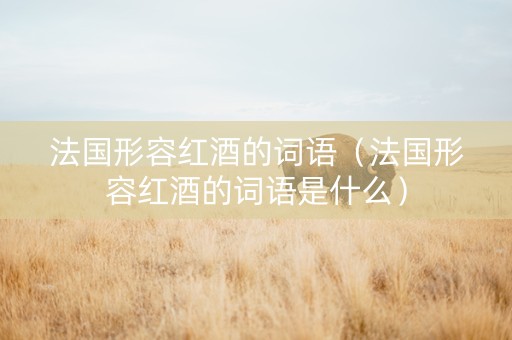 法国形容红酒的词语（法国形容红酒的词语是什么）