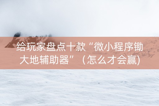给玩家盘点十款“微小程序锄大地辅助器”（怎么才会赢)