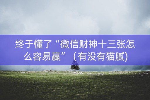 终于懂了“微信财神十三张怎么容易赢”（有没有猫腻)