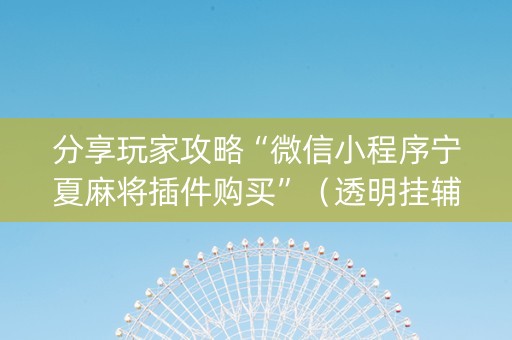 分享玩家攻略“微信小程序宁夏麻将插件购买”（透明挂辅助器)