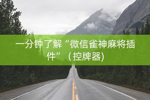 一分钟了解“微信雀神麻将插件”（控牌器)