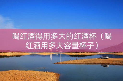 喝红酒得用多大的红酒杯（喝红酒用多大容量杯子）