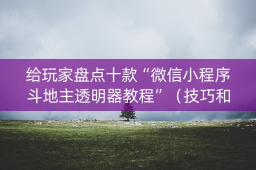 给玩家盘点十款“微信小程序斗地主透明器教程”（技巧和打好牌方法)