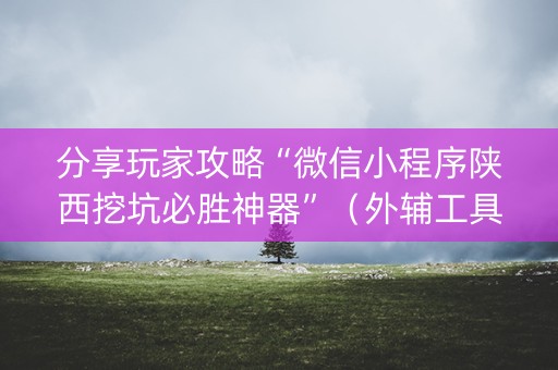 分享玩家攻略“微信小程序陕西挖坑必胜神器”（外辅工具)