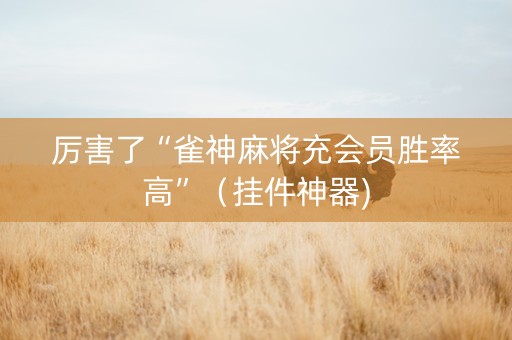 厉害了“雀神麻将充会员胜率高”（挂件神器)