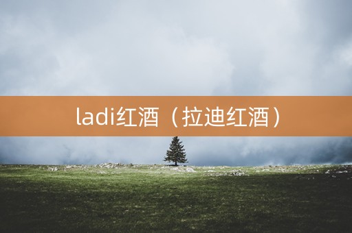 ladi红酒（拉迪红酒）
