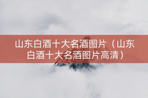 山东白酒十大名酒图片（山东白酒十大名酒图片高清）