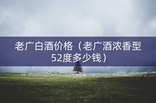 老广白酒价格（老广酒浓香型52度多少钱）