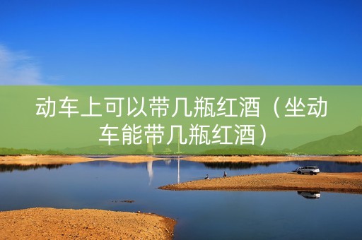 动车上可以带几瓶红酒（坐动车能带几瓶红酒）