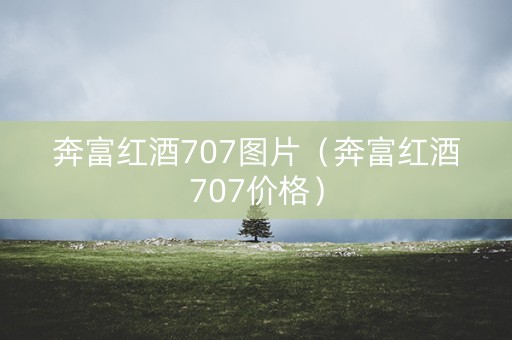 奔富红酒707图片（奔富红酒707价格）