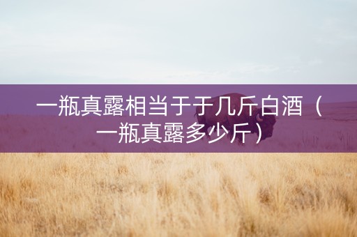 一瓶真露相当于于几斤白酒（一瓶真露多少斤）