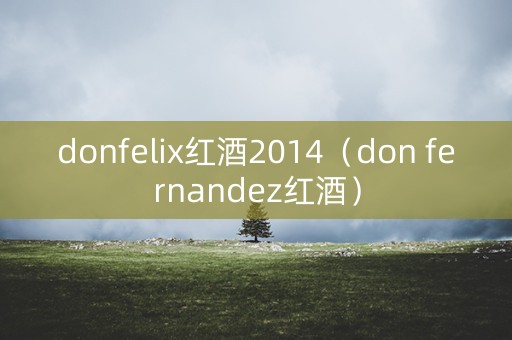 donfelix红酒2014（don fernandez红酒）