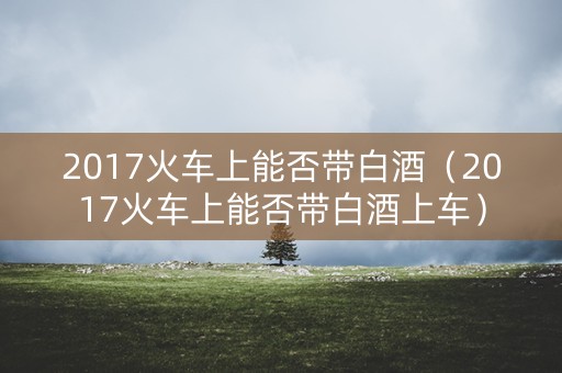 2017火车上能否带白酒（2017火车上能否带白酒上车）